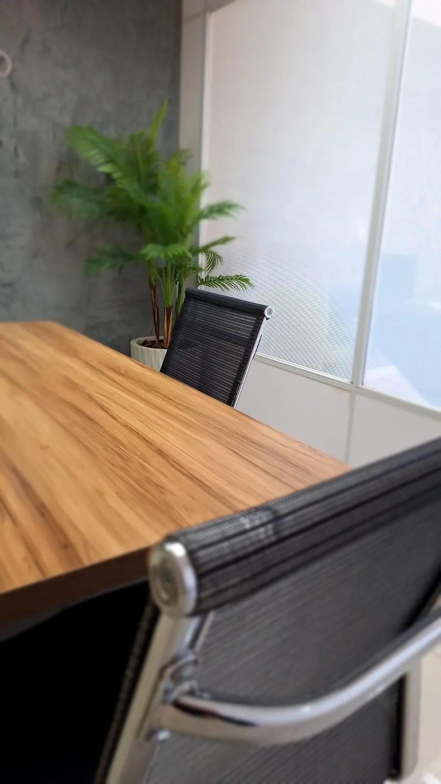 WhatsApp Image 2025-08-27 at 15.07.49 (1)